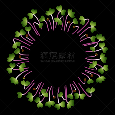 大头菜,白色,蔬菜,素食,清新,维生素,抗炎,植物群,聚集,布置