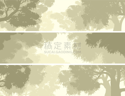 天空,王冠,地形,有叶的,绿色,木制,自然,图像,树