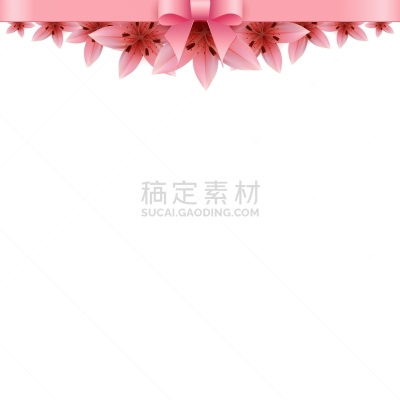 Lily Flower,白色背景,白色,百合花,事件,情人节卡,图像,庆祝,装饰