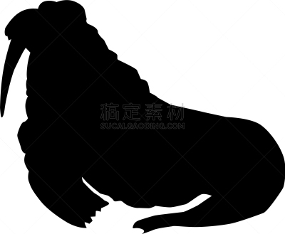 侧面视角,海象,圆形,白色,可爱的,自然美,自然,图像,矢量,剪影