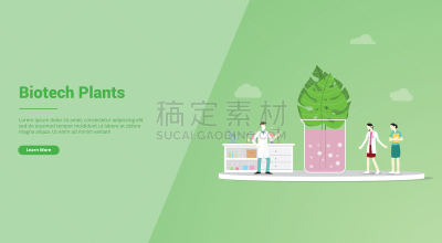 生物科技,主页,矢量,草本,植物群,门厅,生物学,商务