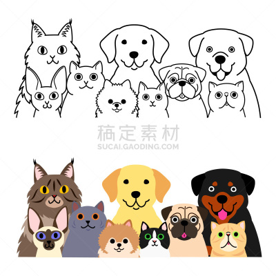 猫,组物体,狗,可爱的,多样,英国短毛猫,巴哥犬,哈巴狗,动物群,小的