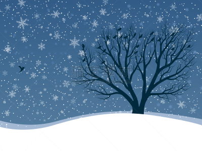 冬天,贺卡,自然,图像,霜,雪花,雪,雪堆,下雪,树