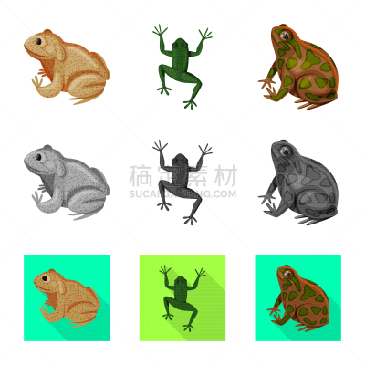 野生动物,分离着色,藓沼,符号,一个物体,生物学,有毒物质,青蛙,动物,布置
