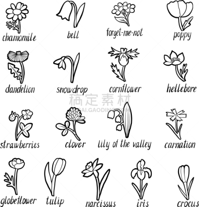 黑色,植物学,自然,图像,矢量,分离着色,花,布置,绘制,除草