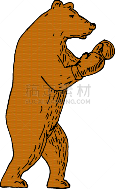 拳击,棕熊,衣服,图像,哺乳纲,动物,矢量,熊,科迪亚克棕熊,画画