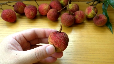 去皮荔枝片 