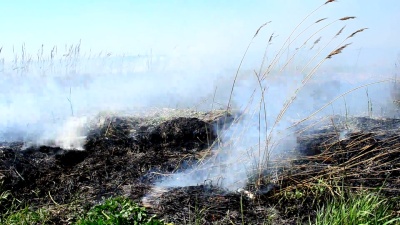 野火