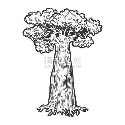 猴面包树,草图,雕刻图像,木版画,面包,植物,剪贴画,线条画,树,绘制