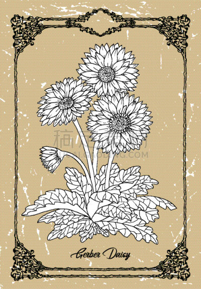 矢量,非洲雏菊,花坛,雏菊,背景,纹理,画画
