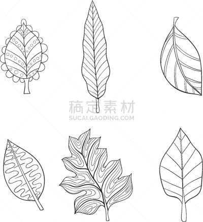 叶子,可爱的,轮廓,白色,书,华丽的,概念,图像,布置,装饰