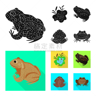野生动物,藓沼,品牌名称,生物学,有毒物质,灰色,环境,青蛙,动物,布置