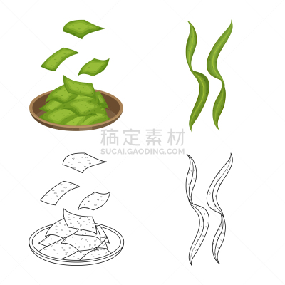海洋,符号,豆腐,绿色,维生素,自然,图像,设计,收集,瘦身