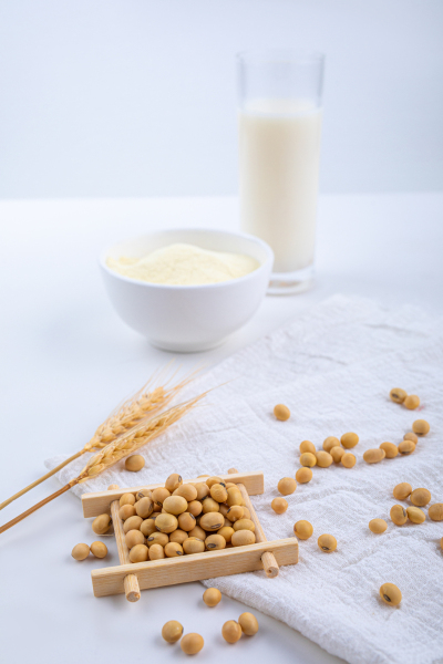 美食系列写实豆粉豆浆