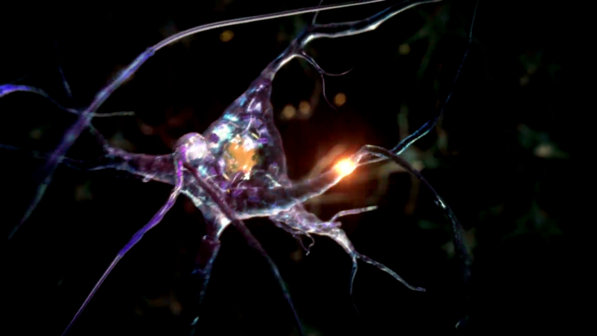 从突触过程中的神经元到人头。可循环。生物学。