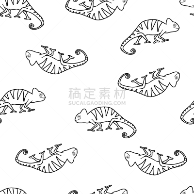 式样,四方连续纹样,变色龙,背景,乱画,爬行纲,白色背景,动物手,野生动物,绘制
