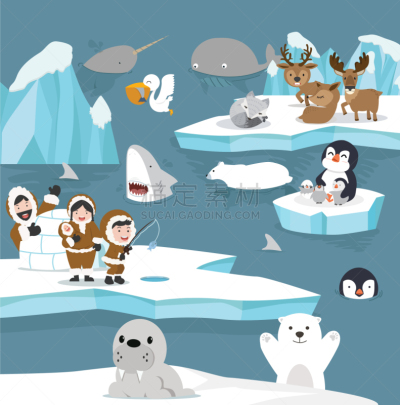 模板,动物,北极,动画片,可爱的,华丽的,野生动物,雪,哺乳纲,布置