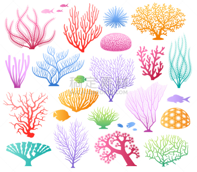 分离着色,水生动植物,绘画插图,海洋,海草,藻类,白色,矢量,布置