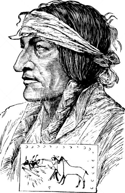 Chief Sitting Bull,白色,矢量,1837,图像,苏印第安人,公牛,雕刻图像,复古,坐