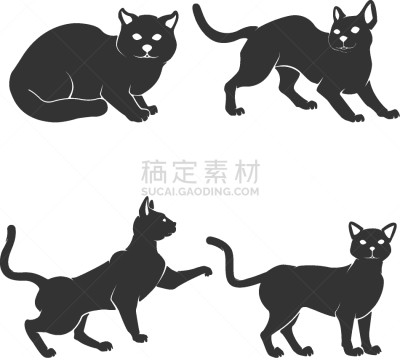 分离着色,猫,白色背景,可爱的,白色,宠物,高雅,简单,哺乳纲,布置