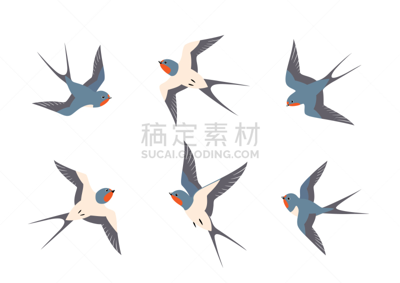 燕子,鸟类,背景分离,自由,野生动物,复古风格,北美歌雀,动物,夏天,绘画插图