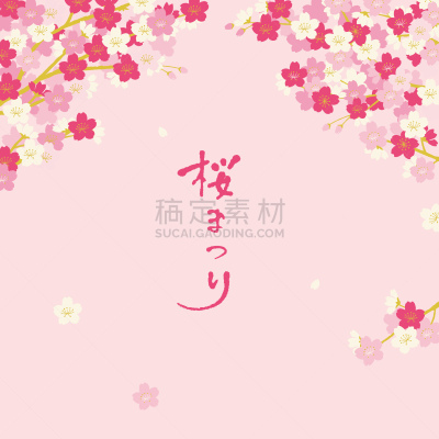 绘画插图,粉色,矢量,樱花,白色背景,鲜花盛开,生活方式,图像,吉野樱花,花瓣