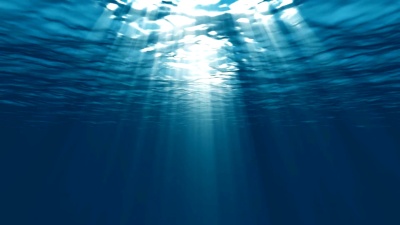 加勒比海泻湖水下美丽的场景光，环路