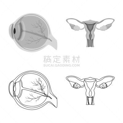 人,符号,人类的生殖器官,卵巢,眼球,生物学,布置,收集