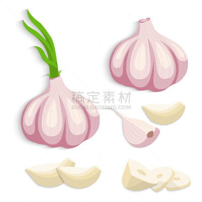 蔬菜,部分,清新,香料,食品,丁香,熟的,成分,调味品,烹调