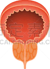前列腺炎,男人,锐角,速度滑冰,白色背景,前列腺,健康保健,流动