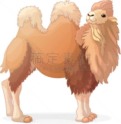 动物,卡通,剪贴画,骆驼,分离着色,可爱的,动物园,野生动物,图像,驼峰