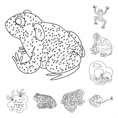 动物,两栖纲,图标集,生物学,有毒物质,野生动物,环境,青蛙,草,设计