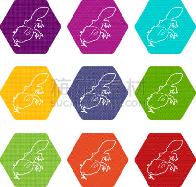 数字9,蜥蜴,斑点,计算机图标,野生动物,蛇,动物,品牌名称,尾巴,弯曲