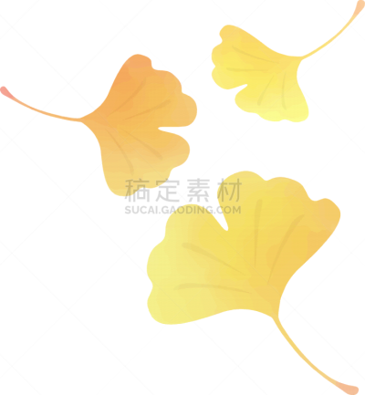 叶子,绘画插图,银杏,水彩画,自然,季节,背景分离,秋天,垂直画幅,图像