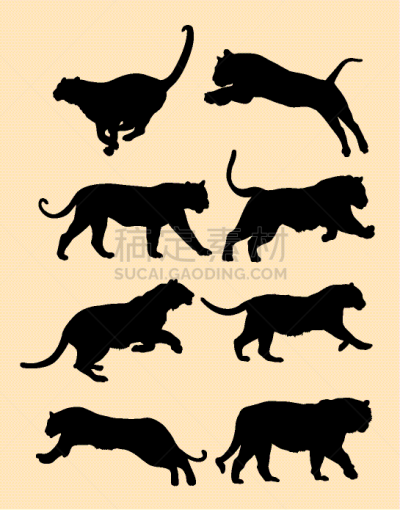 可爱的,黑色,猎豹,彪马,哺乳纲,南美洲虎猫,动物,美洲豹,剪影