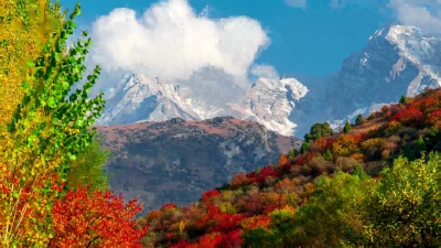 五彩缤纷的森林和高耸的山峰的山地秋季景观的延时摄影