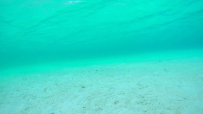  水下慢动作特写 无尽海洋泻湖的水下世界，白色沙底