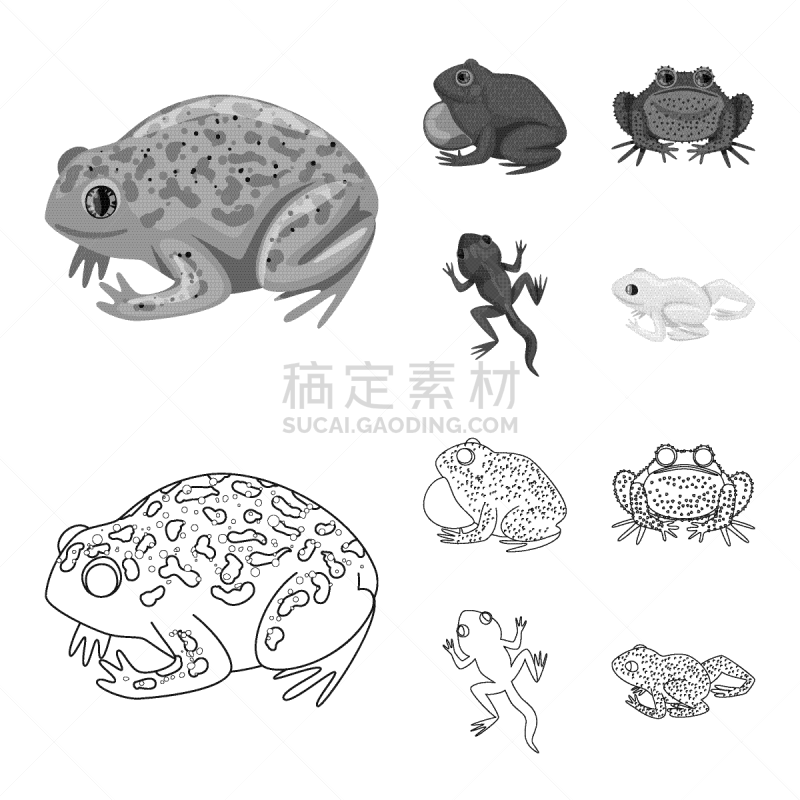 野生动物,藓沼,符号,生物学,有毒物质,动物,牛蛙,两栖纲,人类腺体,爬行纲