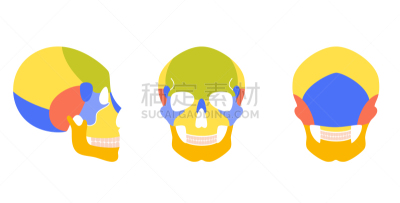 人头骨,侧面,怪异,背景分离,骷髅图,惊骇,简单,神经外科,头骨,图表