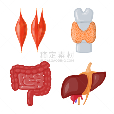 生理学,符号,生物学,健康保健,整形器具,植物群,设计,布置,保护