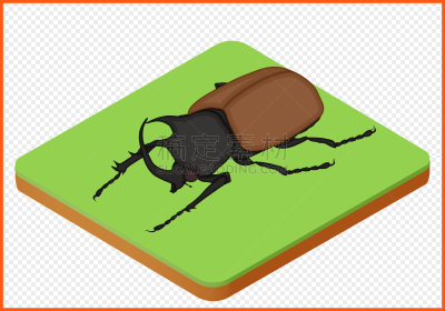甲虫,自然,野生动物,犀牛锹虫,Japanese Stag Beetle,犀牛,鹿角锹虫,鹿,有角的,昆虫