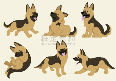 牧羊犬,宠物,纯种犬,家庭,图像,德国牧羊犬,狗,动物,性格,收集