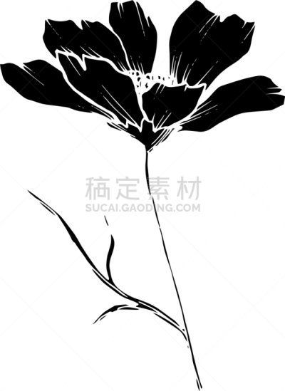黑色,大波斯菊,植物学,壁纸,植物群,春天,乡村风格,花,剪影