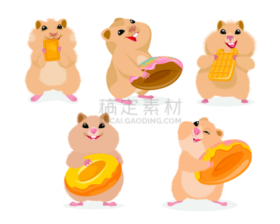 仓鼠,五只动物,舞台,可爱的,背景分离,食品,哺乳纲,多纳圈,小的,甜食