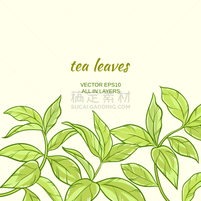 茶叶,绿色,矢量,清新,自然,图像,大特写,植物群,草本,生长