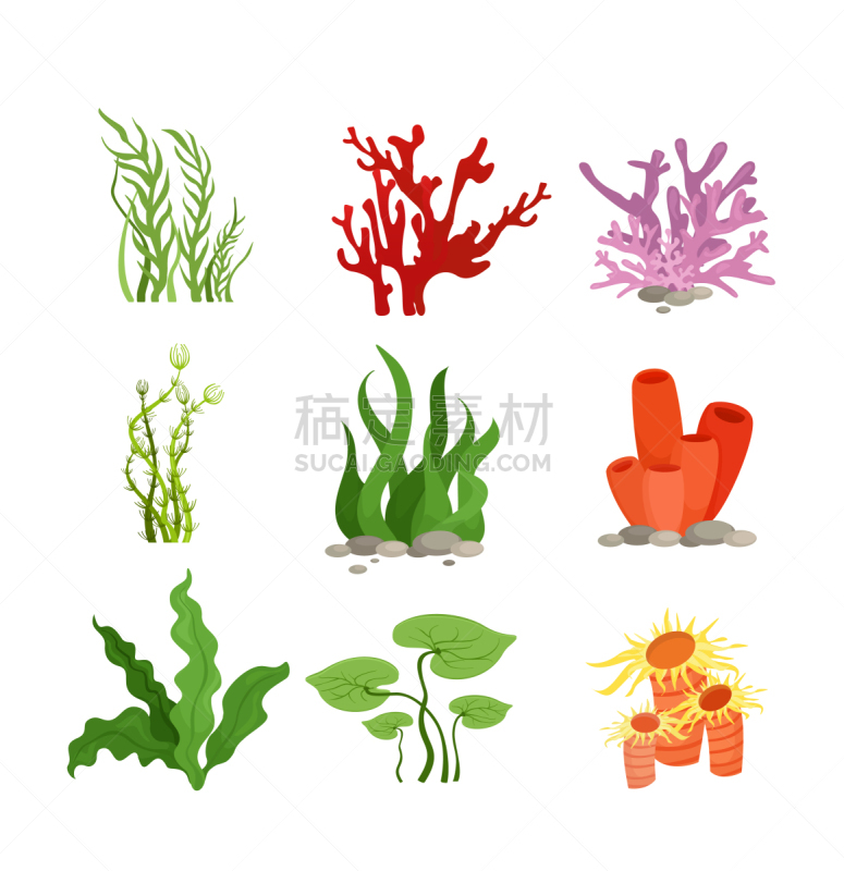多色的,水生植物,野生动物,植物群,动物,装饰物,礁石,布置,绘制,剪影