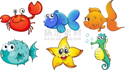 海洋生命,与众不同,分离着色,可爱的,白色,黄色,红色,数字6,海产,食品