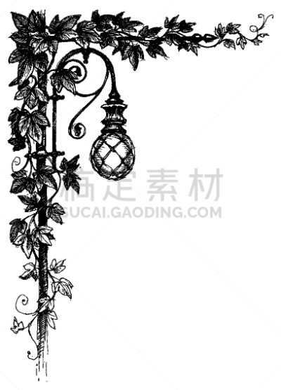 常春藤,角度,路灯,分离着色,创造力,华丽的,自然,有叶的,图像,装饰
