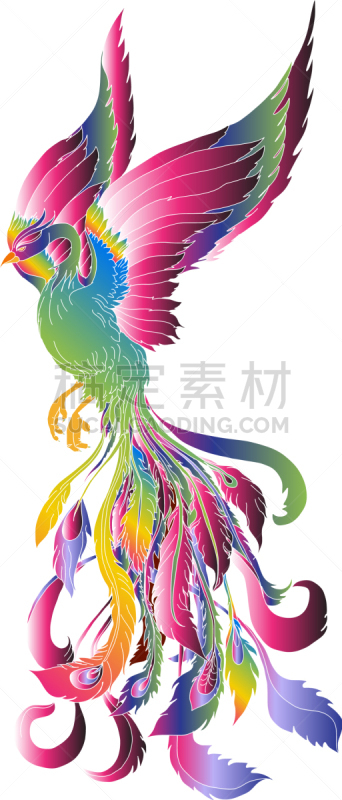 菲尼克斯市,鸟类,火,彩色蜡笔,热,野生动物