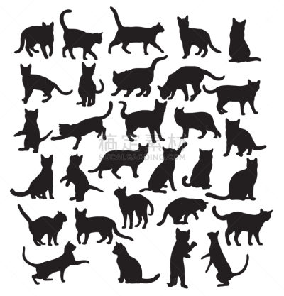 宠物,猫,动物,秘密行动,图像,哺乳纲,设计元素,矢量,坐,剪影